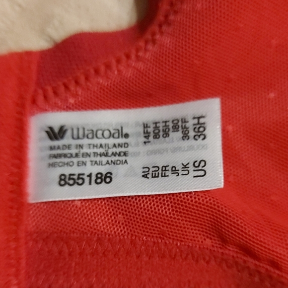 Wacoal Scarlet Lace Bra - Picture 6 of 7